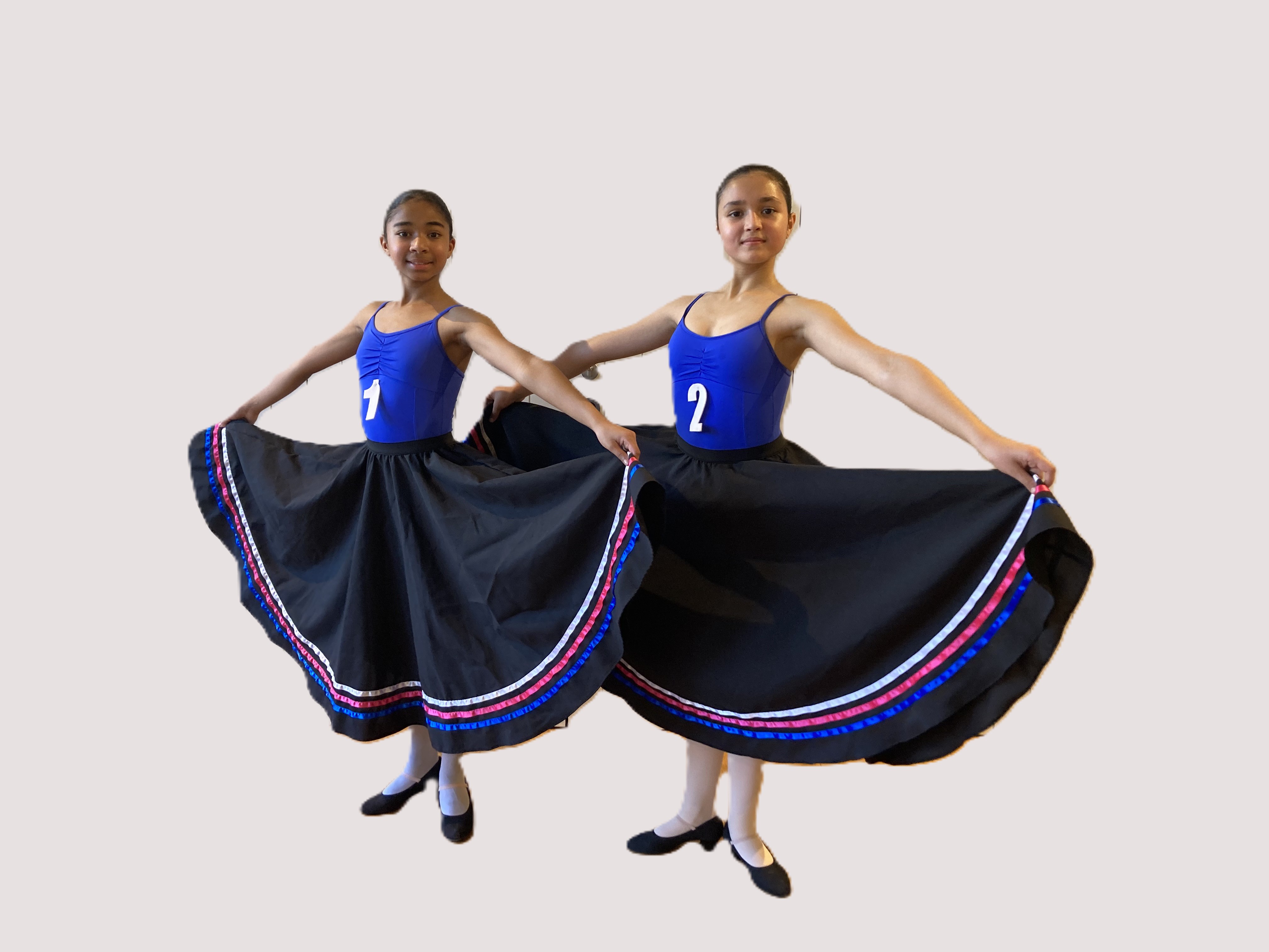Character Skirt Adult